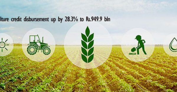 Agriculture credit disbursement up by 28.3% in 7 months