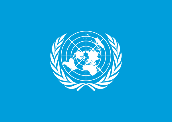 At UN, Pakistan calls for closing digital gap, combating disinformation