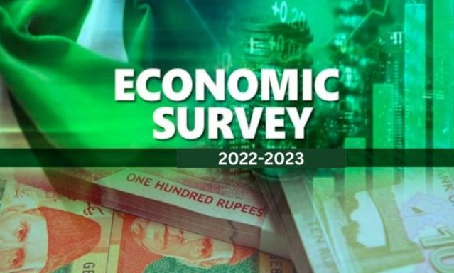 Significant growth witnessed in Tax, IT, agriculture sectors