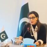 Flights of small aircraft banned in Karachi: Sherry Rehman