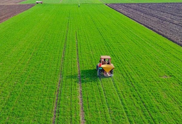 IFC, Standard Chartered, Engro announce Rs.33.6 billion first-of-its-kind agri-chain financing Pakistan’s agriculture