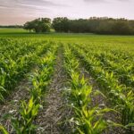 Govt provides Rs 2,953 Million for agro-based SMEs