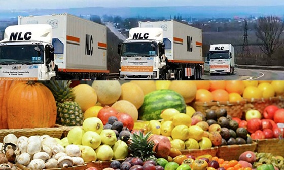Pakistan starts fruit delivery to Russia via land route