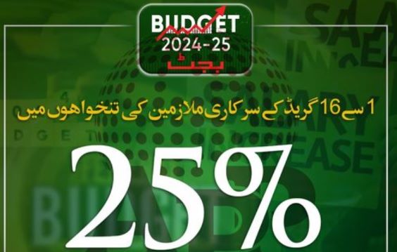 Aurangzeb announces up to 25% increase in salaries, 15% in pensions of employees