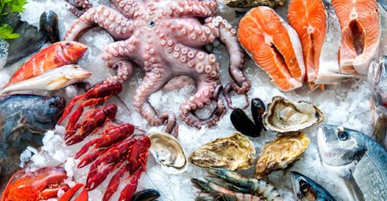 Pakistan’s Seafood Exports Surge 27.81% in Q1 FY25
