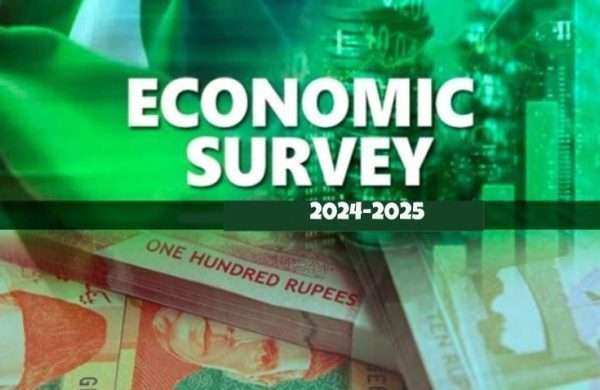 Agriculture sector grew by 0.56% in FY 2024-25:Economic Survey