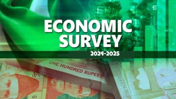 Agriculture sector grew by 0.56% in FY 2024-25:Economic Survey