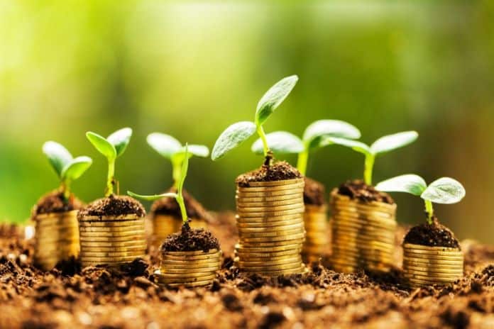 Pakistan Launches Green Taxonomy to Attract Climate Investment