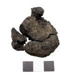 Archaeological finds trace the world’s oldest bread traditions to Anatolia