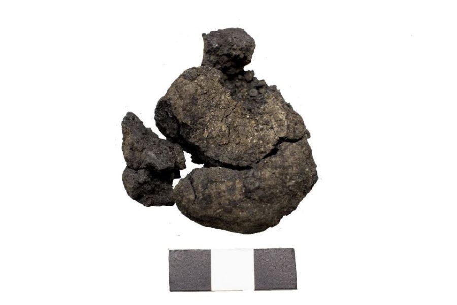 Archaeological finds trace the world’s oldest bread traditions to Anatolia